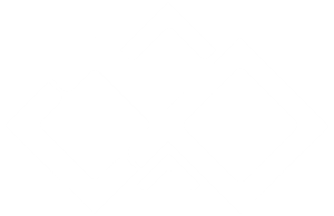 logo-icon-white